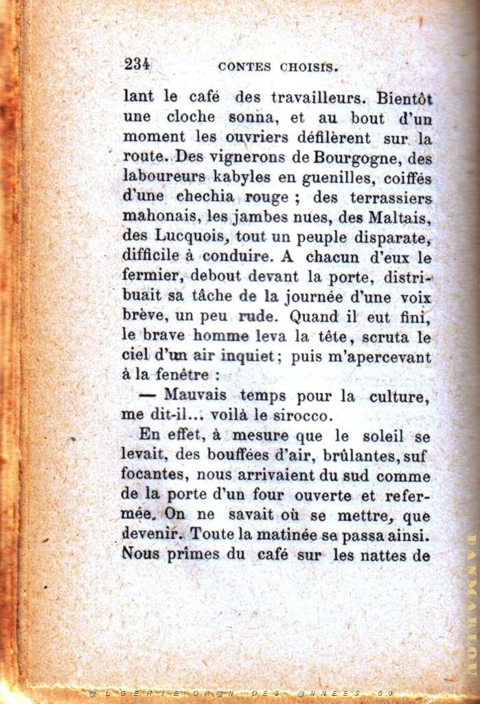les sauterelles 04.jpg - LEAD Technologies Inc. V1.01